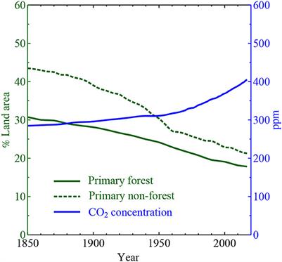 Re-appraisal of the global climatic role of natural forests for improved climate projections and policies